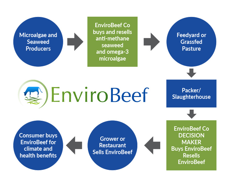 EnviroBeef product flow